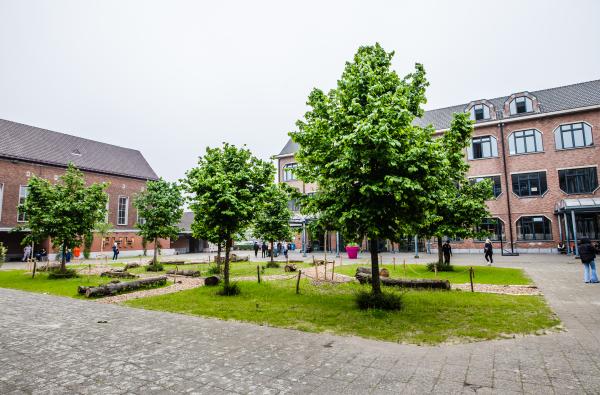 Hasselt - Groene speelplaatsen