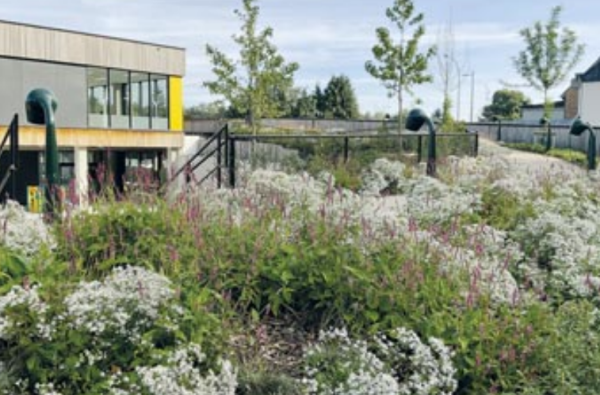 Heusden-Zolder - Groen hart zolder