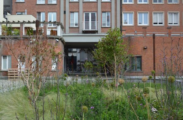 Oostende - Herinrichting Lijnbaanstraat