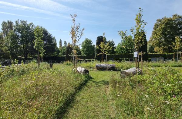 Schilde - Natuurlijke begraafplek