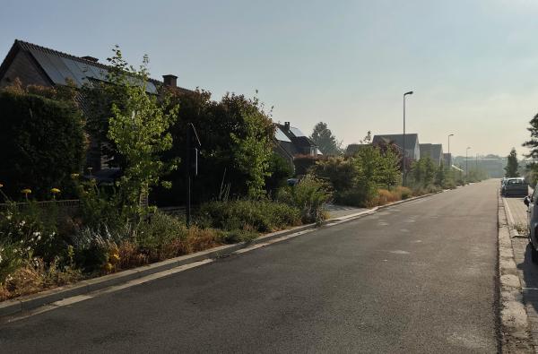 Tessenderlo - Ontharding Hemelrijk