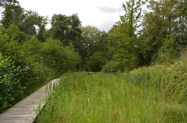 Zaventem - Zeen en Zavelbos