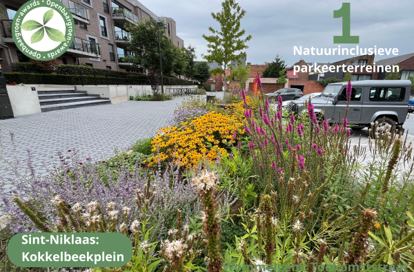 Sint-Niklaas - Heraanleg parking Kokkelbeekplein © VVOG