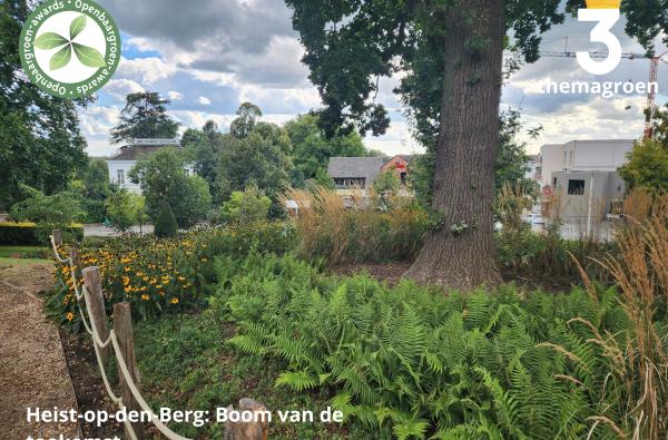 Heist-op-den-Berg - Boom van de toekomst © VVOG