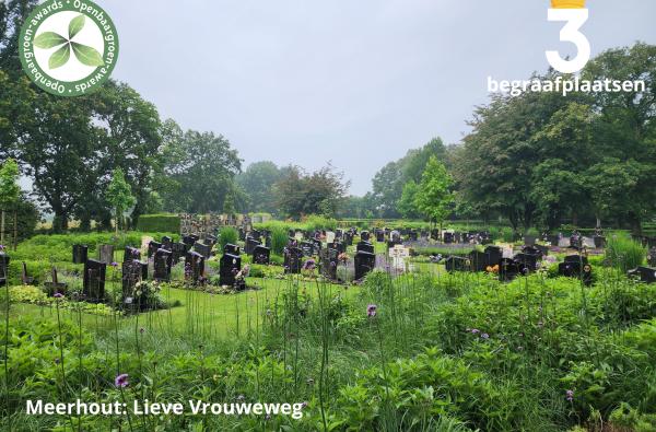 Meerhout - Begraafplaats Lieve Vrouweweg © VVOG