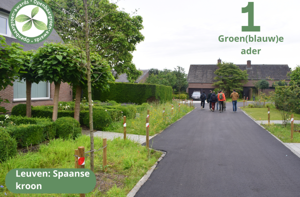 Leuven - Spaanse Kroon © VVOG
