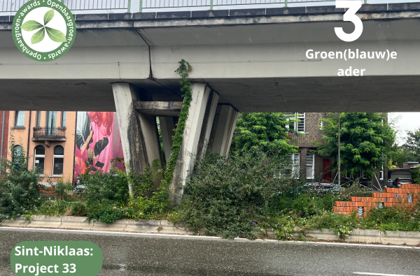 Sint-Niklaas - Project 33 © VVOG