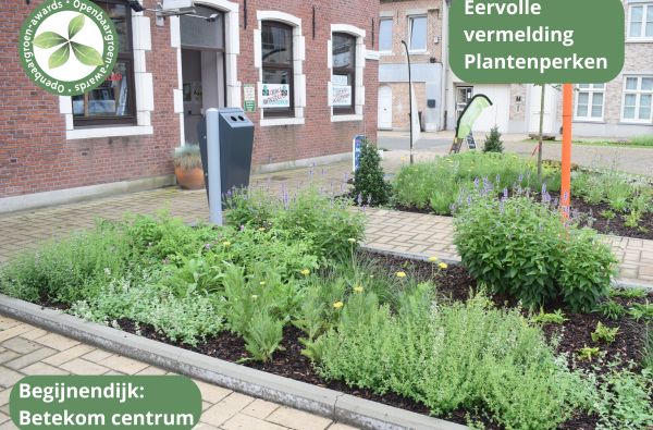 Begijnendijk - Vergroening Betekom centrum © VVOG