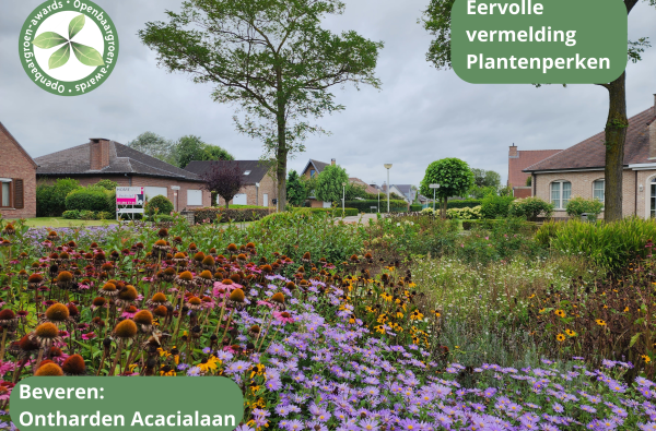 Beveren - Ontharden verkeerseiland Acacialaan © VVOG