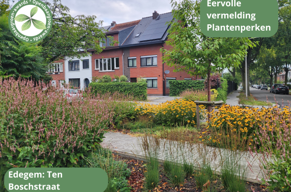 Edegem - Voetpadvernieuwing Ten Boschstraat © VVOG