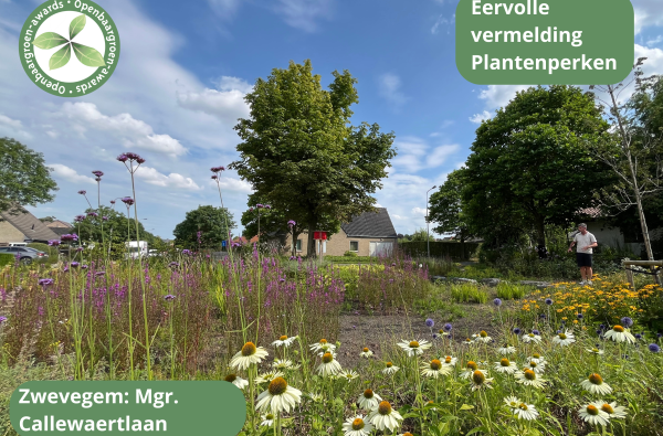 Zwevegem - Ontharding Mgr. Callewaertlaan © VVOG