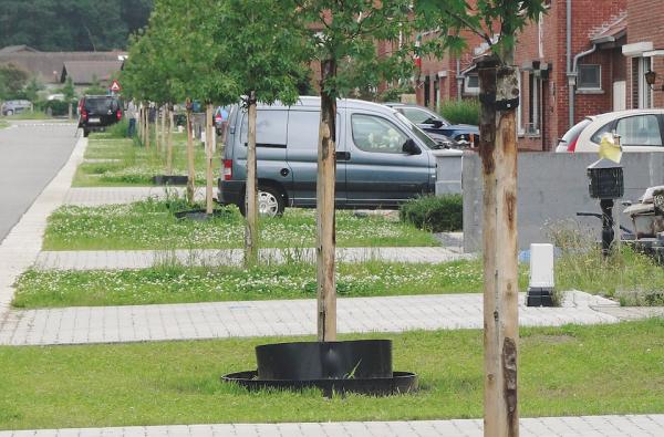 Steenovenstraat in Beringen