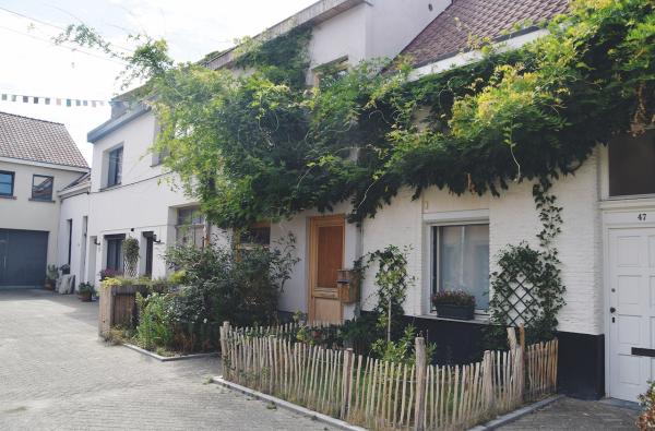 Ontharding en vergroening Van Leentstraat in Antwerpen-Borgerhout