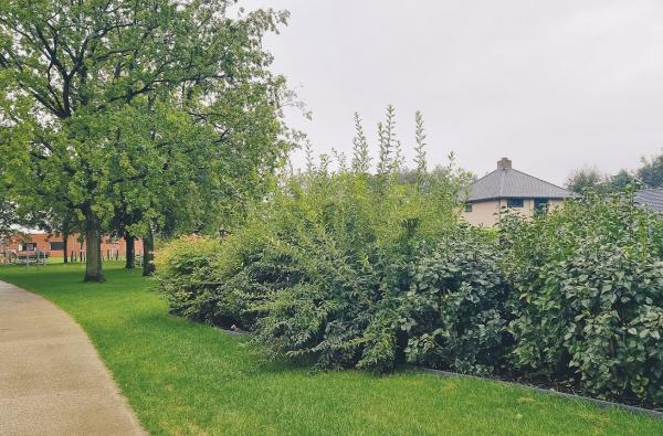 Dorpspark Massenhoven in Zandhoven