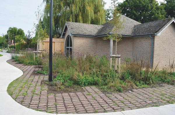 Herinrichting en gedeeltelijke ontharding voor Bankbeekstraat in Wevelgem