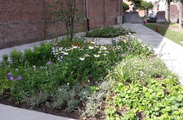 Kerkomgeving in Stekene