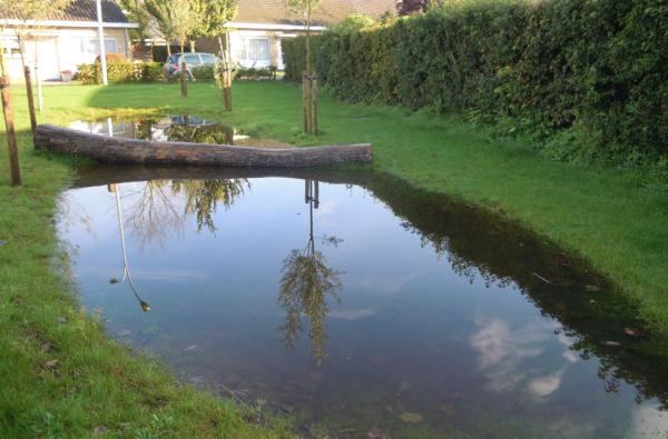 Groenewijk in Brugge