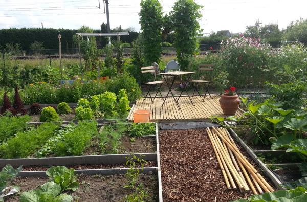 Wijktuin De Tesch in Hasselt