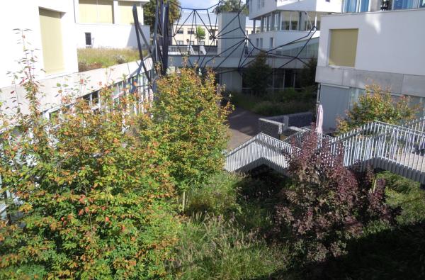 Campus Stede Akkers in Hoogstraten