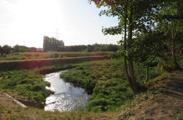 Park Neerdorp in Beersel