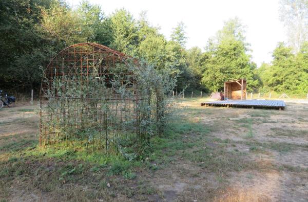 Paalkampeerplaats in Hamont-Achel