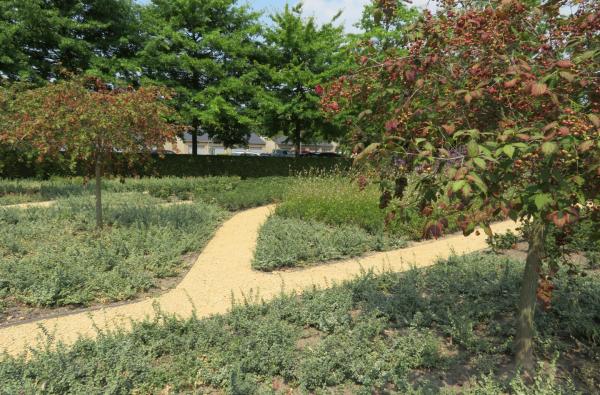 Tuin administratief centrum in Zwijndrecht