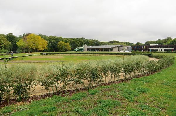 Parkmoeras in Brasschaat