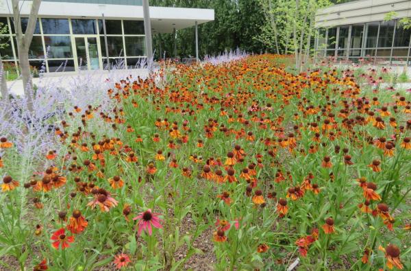 Hagelkruispark in Antwerpen-Ekeren