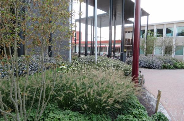 De Groene Stap in Bouchout