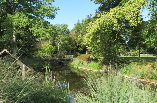 Gemeentepark in Lint