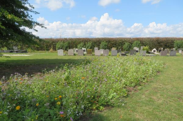 Begraafplaats Schuiferskapelle in Tielt