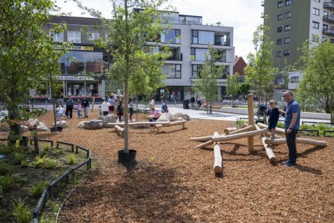 Stadsbos op de Grote Markt in Genk foto 3 © Stad Genk