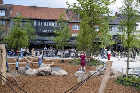 Stadsbos op de Grote Markt in Genk foto 4 © Stad Genk