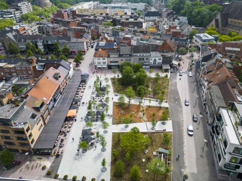 Stadsbos op de Grote Markt in Genk foto 1 © Stad Genk