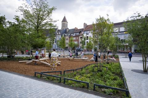 Stadsbos op de Grote Markt in Genk foto 2 © Stad Genk