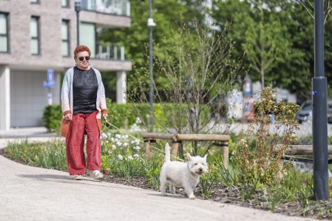 Opening Moermanpark Roeselare © FotoFever