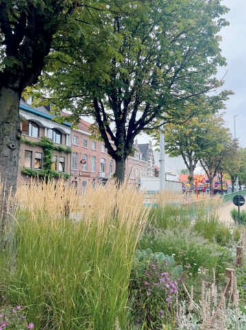 Het Brugpark te Izegem © VVOG