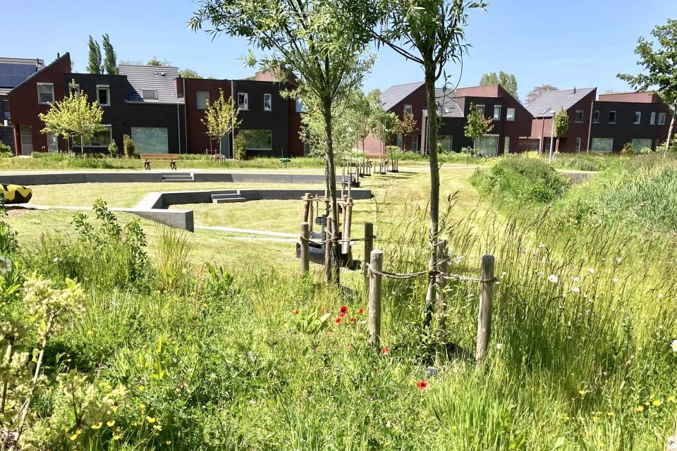 Delen van het Maaike Kerrebroeckpark worden extensief beheerd. © Katrien Verhaegen