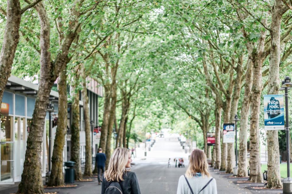 De effecten van groenblauwe infrastructuur op het microklimaat in steden © StockSnap / Pixabay