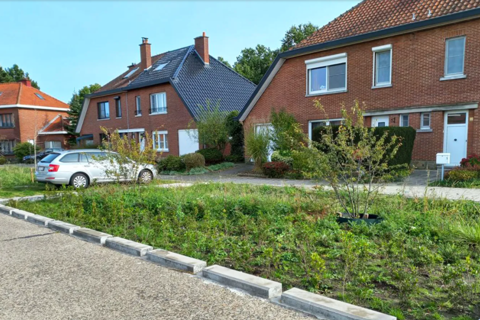 Ontharding in Leuven Spaanse Kroon © Stad Leuven 