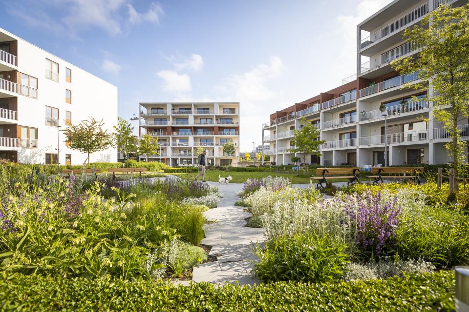 In 2023 ging de Groenaannemer-award naar firma Mahieu voor de aanleg van het Maaike Kerrebroeckpark in Brugge © Matthias Desmet