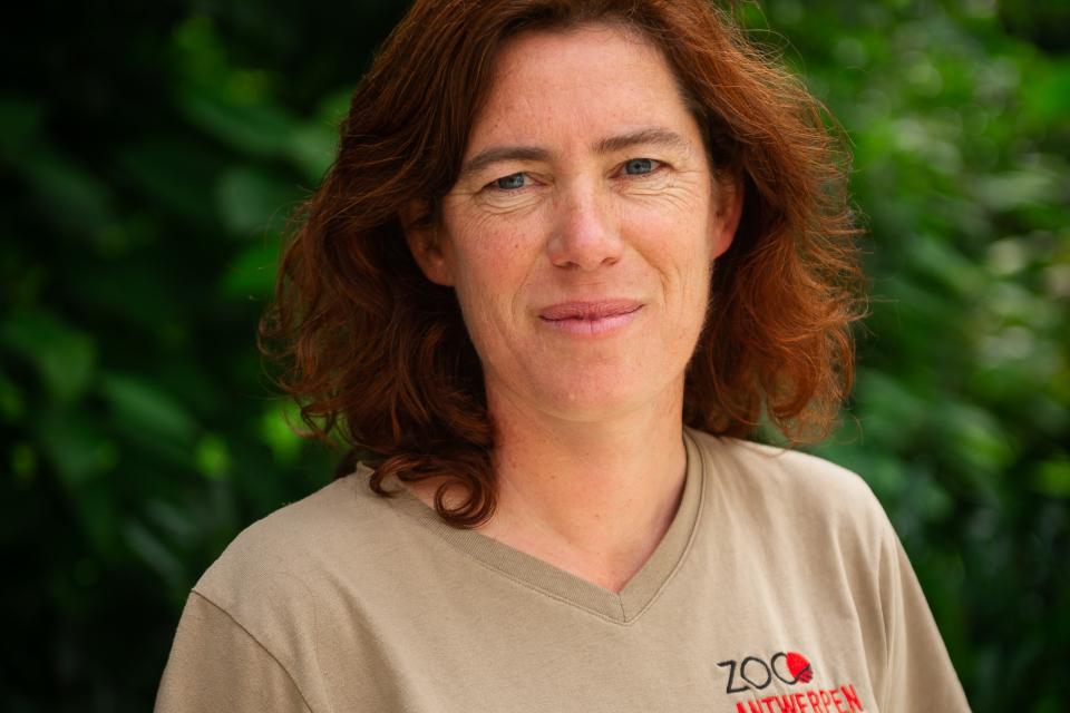 Tine Jacobs - Hovenier Zoo Antwerpen