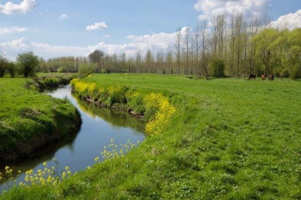 De graslandvallei rond de Mombeek wordt één van de vier pilootgebieden in het project Sponslandschappen. © VLM