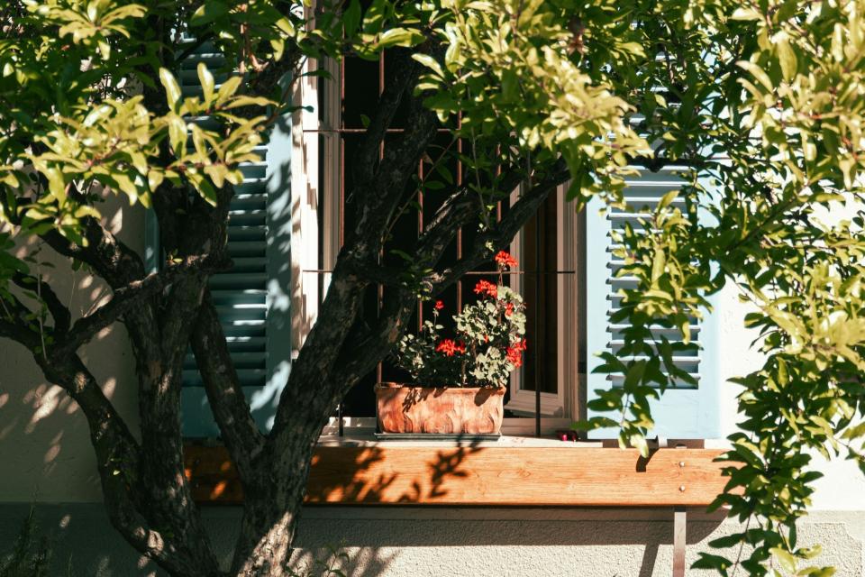 © Marco De Gregorio / Unsplash