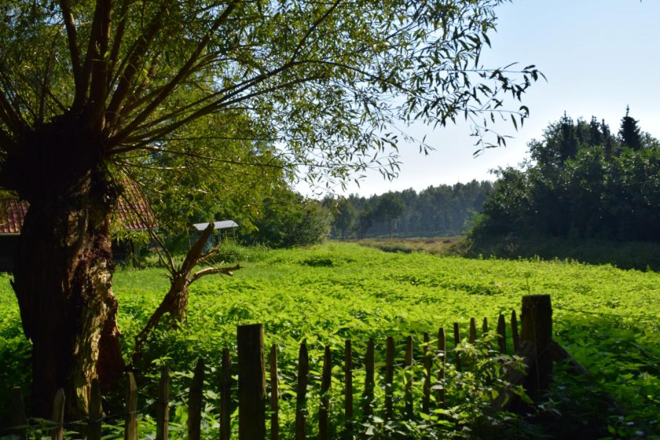 Vallei van de Zwarte Beek © Anse Kinnaer / Onroerend Erfgoed / Wikimedia Commons