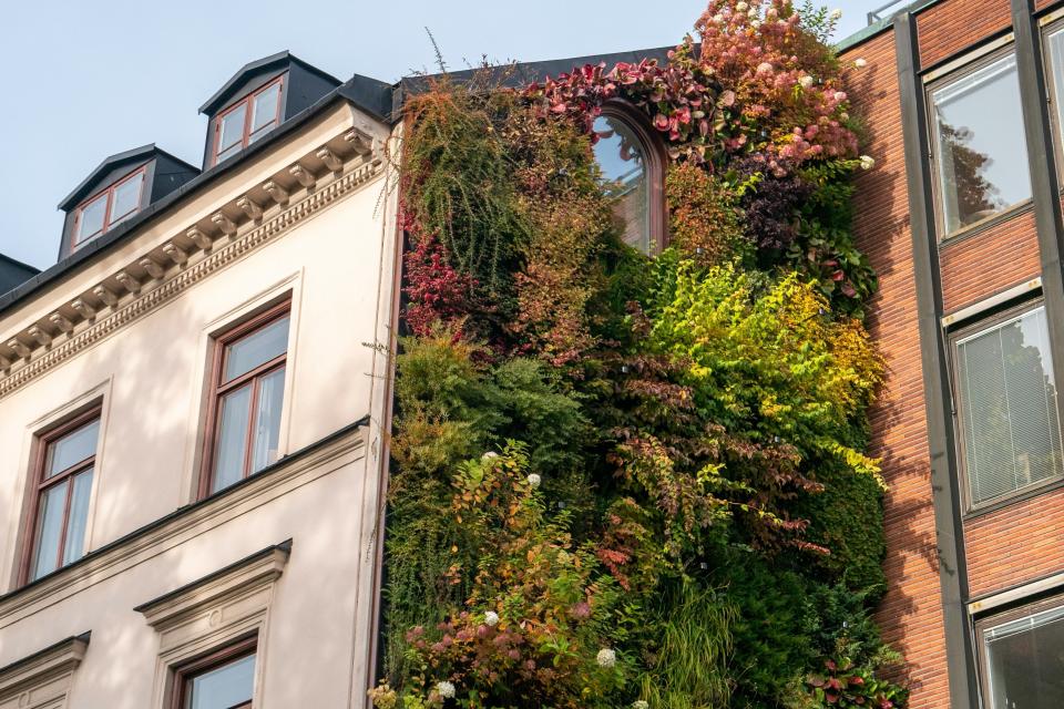 Illustratiebeeld klimaatwijken © Javier Bosch / Unsplash