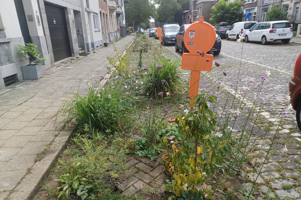 Bij de herinrichting van straten is het opgeven van parkeerplaatsen een gevoelig thema. © Jan Vilain [ruimtereporter]