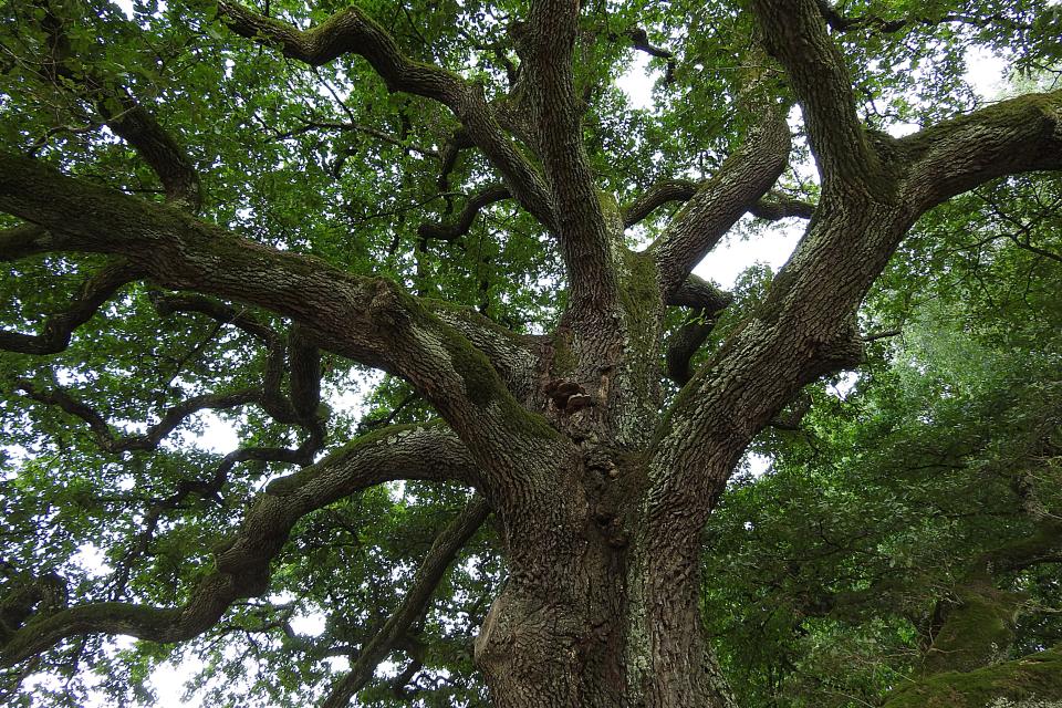 Illustratiebeeld © PIX1861