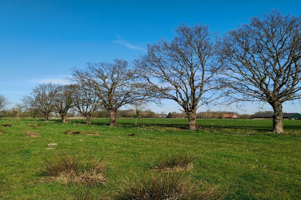 Open ruimte in Duwijck III © provincie Antwerpen