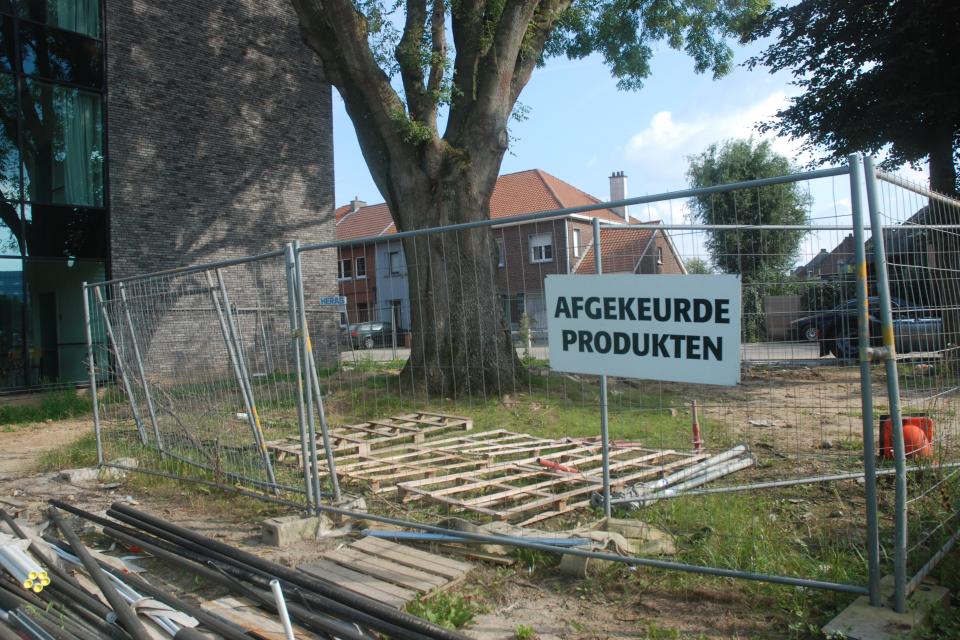Werfhekken ter bescherming van erfgoedbomen in Aalst. © Lotte Vandoorne